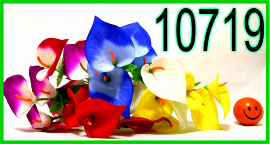 Imagen de FLOR RAMILLETE CALA TERCIPELO X5 10.25